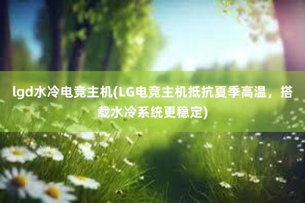 lgd水冷电竞主机(LG电竞主机抵抗夏季高温，搭载水冷系统更稳定)