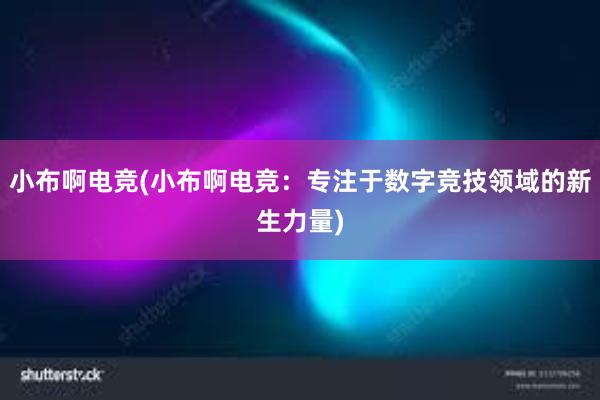 小布啊电竞(小布啊电竞：专注于数字竞技领域的新生力量)