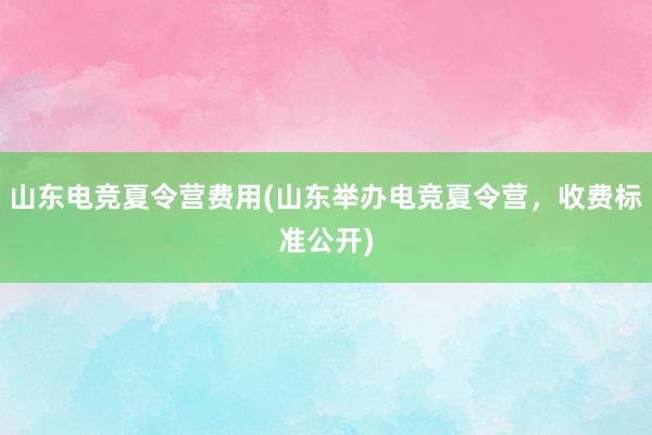 山东电竞夏令营费用(山东举办电竞夏令营，收费标准公开)