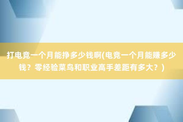 打电竞一个月能挣多少钱啊(电竞一个月能赚多少钱？零经验菜鸟和职业高手差距有多大？)