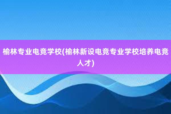 榆林专业电竞学校(榆林新设电竞专业学校培养电竞人才)