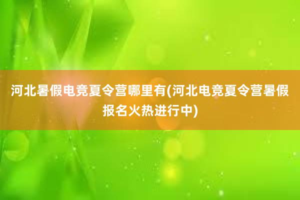 河北暑假电竞夏令营哪里有(河北电竞夏令营暑假报名火热进行中)