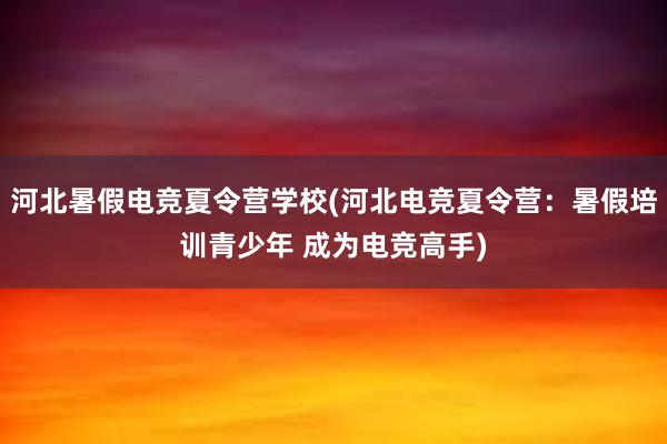 河北暑假电竞夏令营学校(河北电竞夏令营：暑假培训青少年 成为电竞高手)