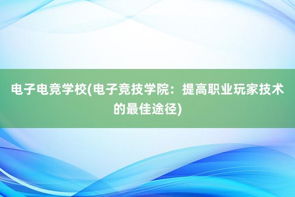 电子电竞学校(电子竞技学院：提高职业玩家技术的最佳途径)