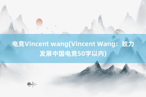 电竞Vincent wang(Vincent Wang：致力发展中国电竞50字以内)