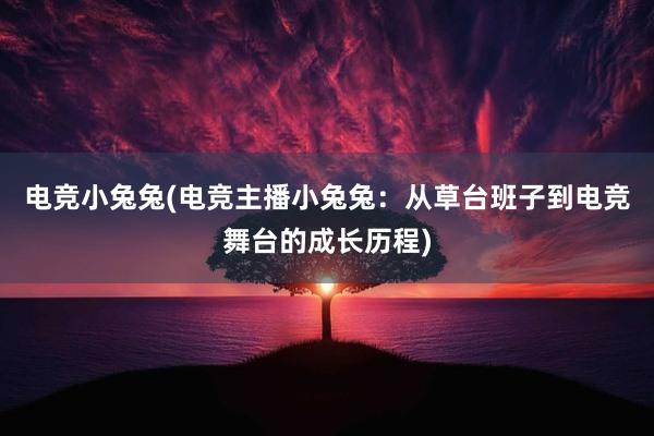 电竞小兔兔(电竞主播小兔兔：从草台班子到电竞舞台的成长历程)