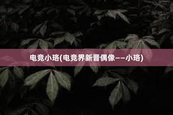 电竞小珞(电竞界新晋偶像——小珞)