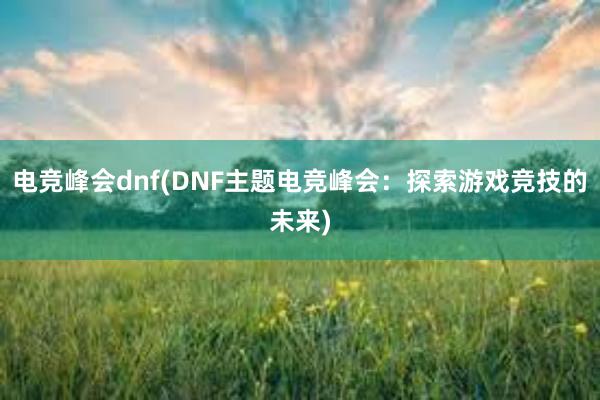 电竞峰会dnf(DNF主题电竞峰会：探索游戏竞技的未来)