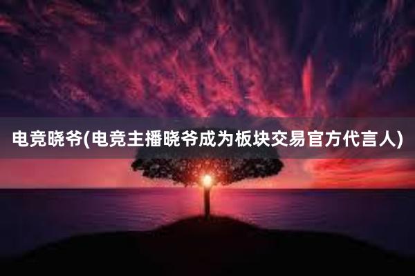 电竞晓爷(电竞主播晓爷成为板块交易官方代言人)