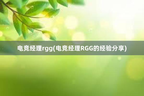 电竞经理rgg(电竞经理RGG的经验分享)