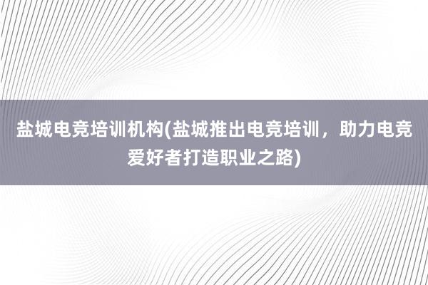 盐城电竞培训机构(盐城推出电竞培训，助力电竞爱好者打造职业之路)