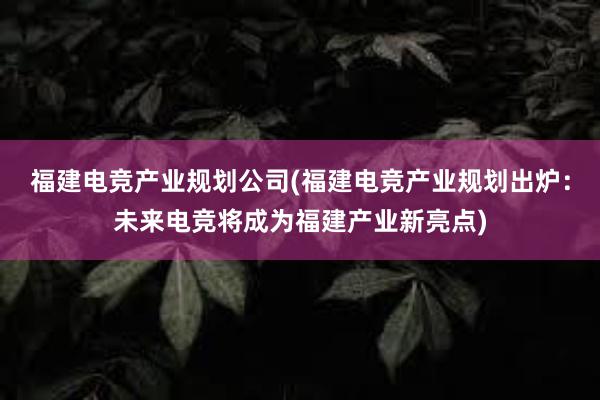 福建电竞产业规划公司(福建电竞产业规划出炉：未来电竞将成为福建产业新亮点)