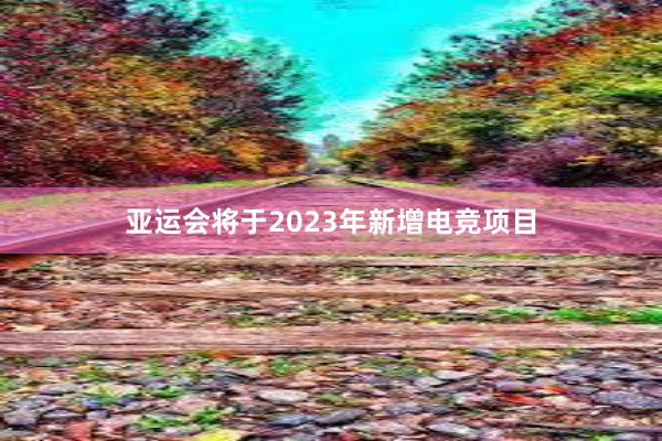 亚运会将于2023年新增电竞项目