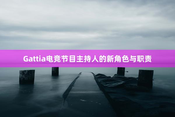 Gattia电竞节目主持人的新角色与职责