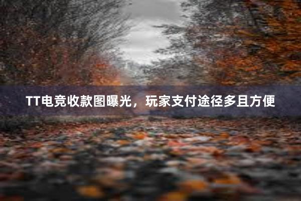 TT电竞收款图曝光，玩家支付途径多且方便