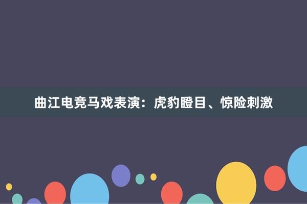 曲江电竞马戏表演：虎豹瞪目、惊险刺激