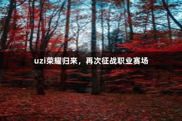 uzi荣耀归来，再次征战职业赛场