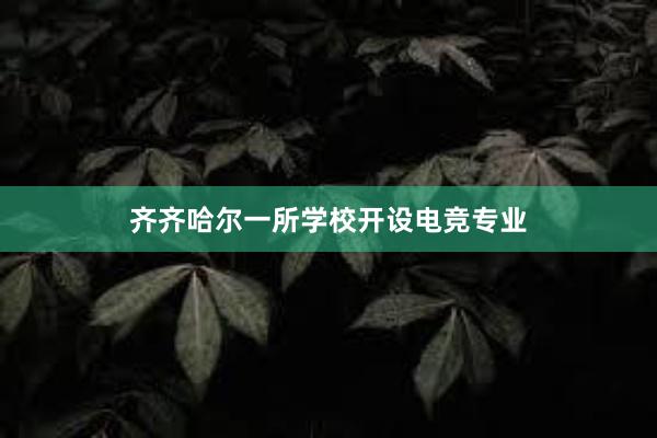 齐齐哈尔一所学校开设电竞专业